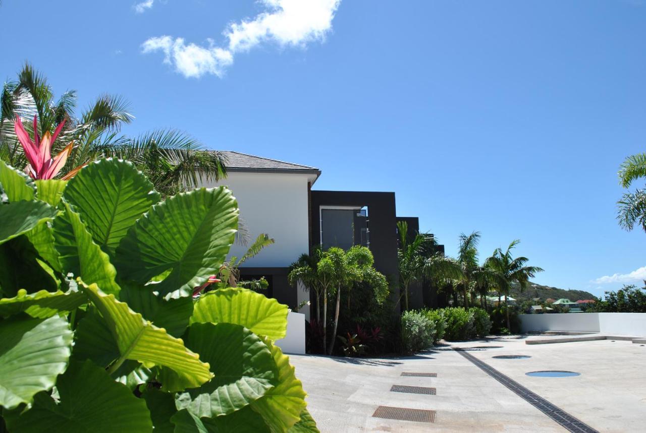Reve De Saint Barth - Vue Mer - Piscine Chauffee & Jacuzzi グスタビア エクステリア 写真