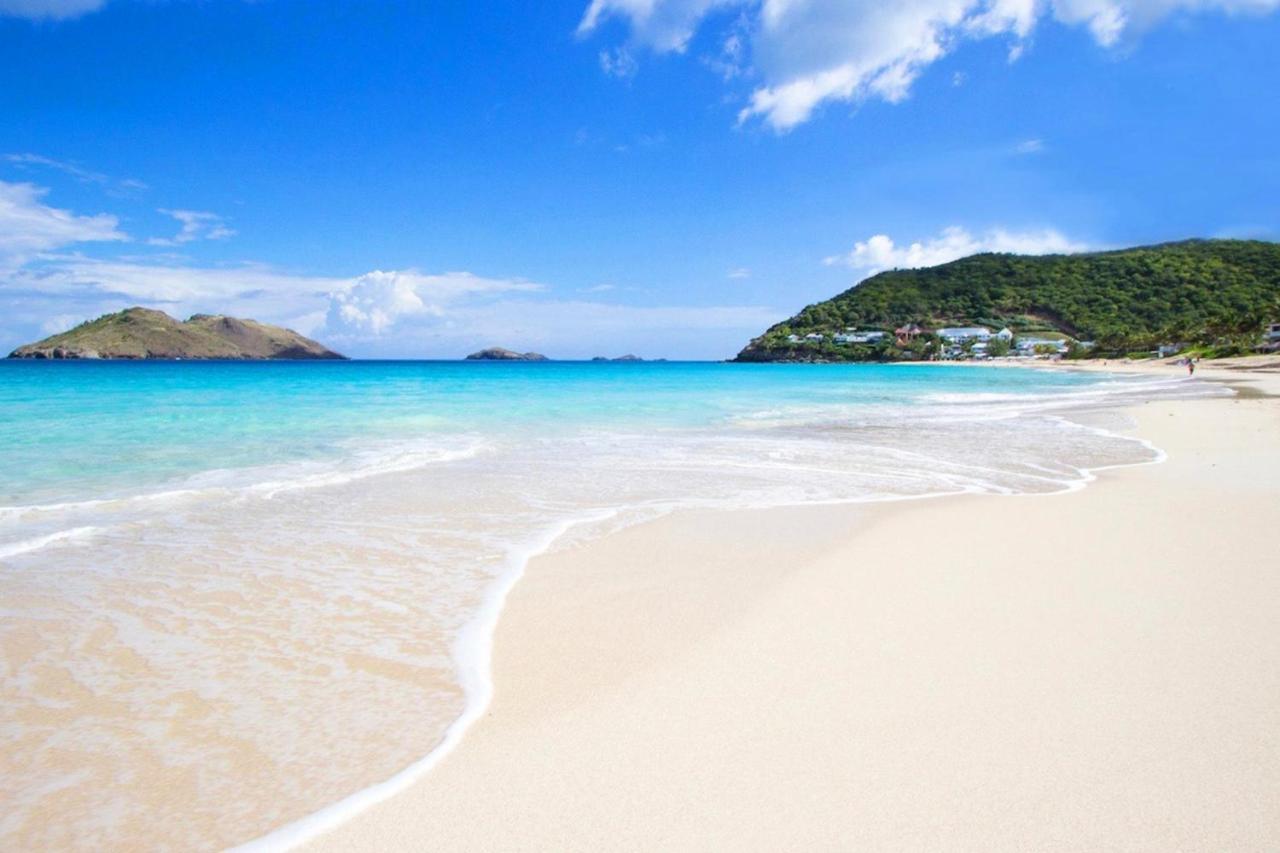 Reve De Saint Barth - Vue Mer - Piscine Chauffee & Jacuzzi グスタビア エクステリア 写真